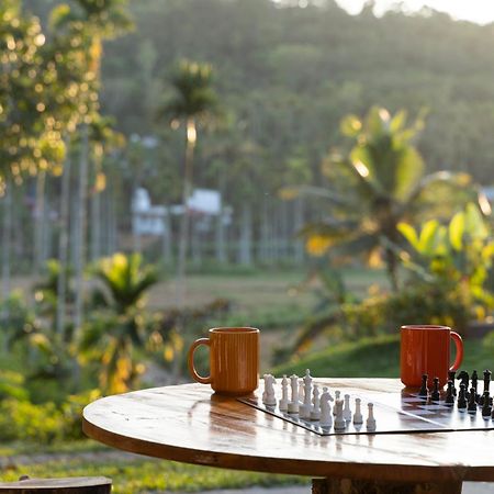 Stayvista At The Big Chill With Breakfast Included วายานาด ภายนอก รูปภาพ